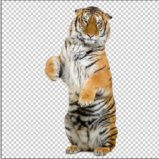 Creation of Self Rehearsal: Step 2